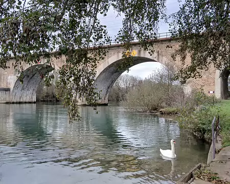 041 Merci Martine pour cette belle randonnée dans les boucles de la Marne