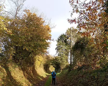 IMG_20251109_101536812_MFNR