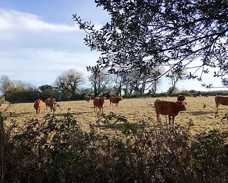 IMG_20251109_110013793_MFNR