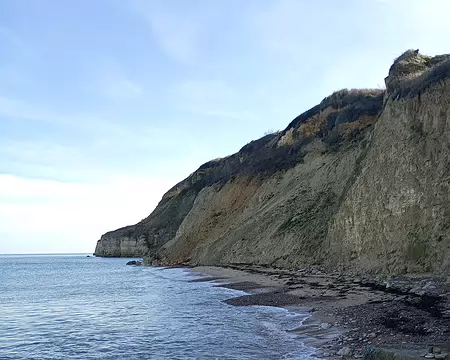 IMG_20251109_115655731_MFNR