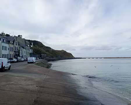 IMG_20251109_130058601_MFNR