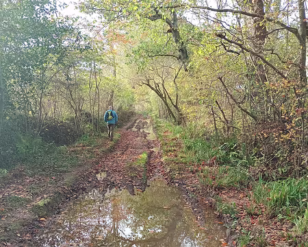 IMG_20251109_150100422_MFNR