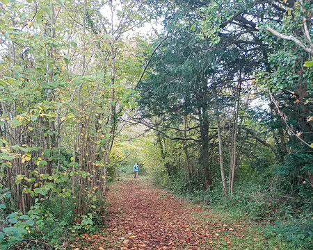 IMG_20251110_100857974_MFNR