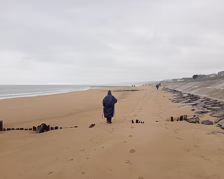 IMG_20251110_112751429_MFNR