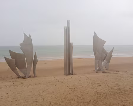 IMG_20251110_113454446_MFNR