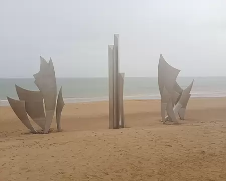 IMG_20251110_113454446_MFNR