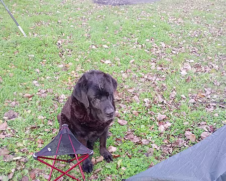 IMG_20251110_153144071_MFNR