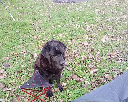 IMG_20251110_153144071_MFNR