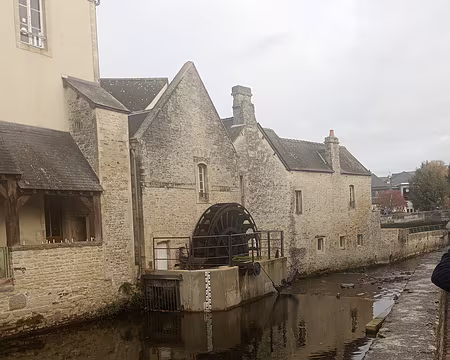 IMG_20251111_103048700_MFNR