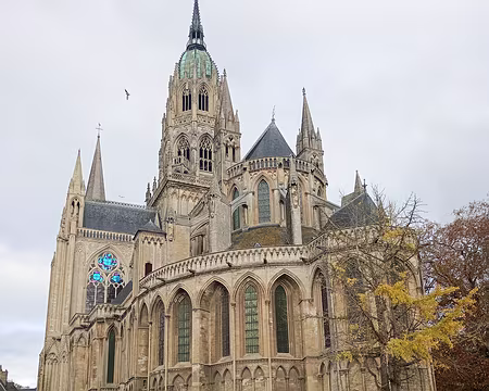 IMG_20251111_105210635_MFNR