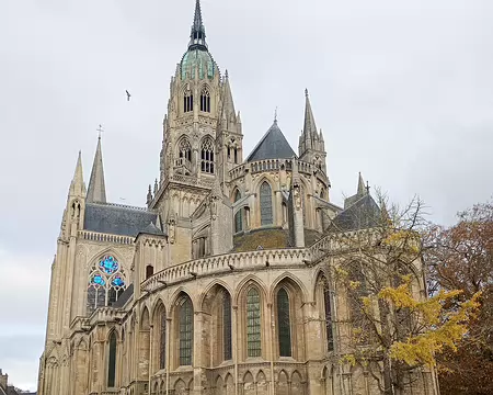 IMG_20251111_105210635_MFNR