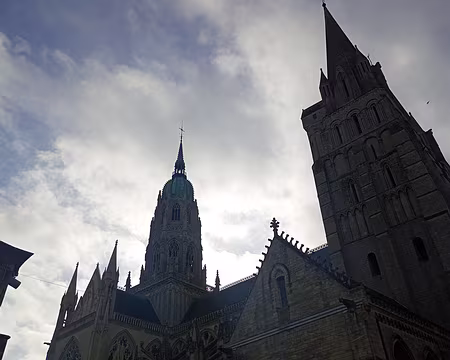 IMG_20251111_113042405_MFNR