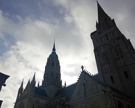 IMG_20251111_113042405_MFNR