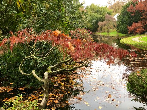 2025-11 Chatenay Malabry