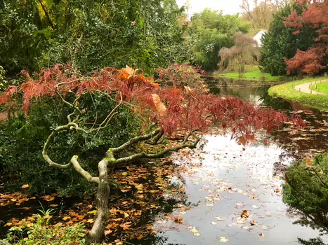 2025-11 Chatenay Malabry