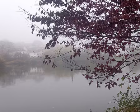 20251116_095849-01 Étang Colbert au Plessis Robinson