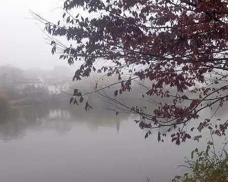 20251116_095849-01 Étang Colbert au Plessis Robinson