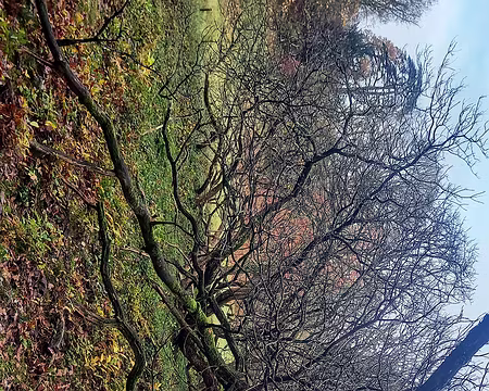 20251116_121639-02 Il est vivant.