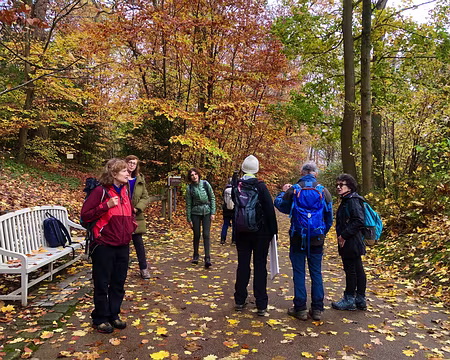 20251116_121941-01 Photo Marina Fulchiron.