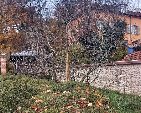 20251116_123022-02 Vagues de buis