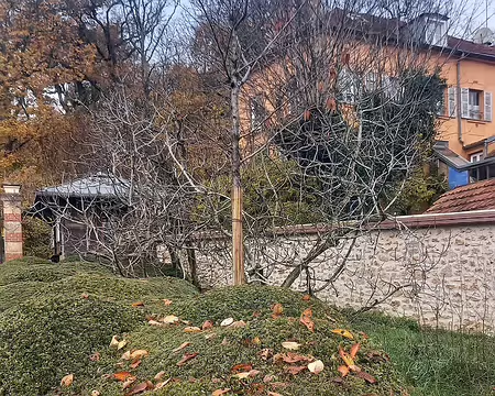 20251116_123022-02 Vagues de buis