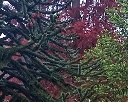 20251116_124134-01 3 tons