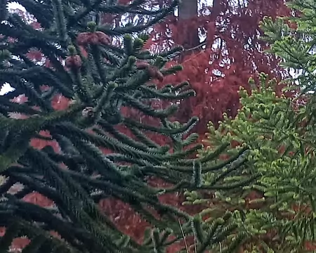 20251116_124134-01 3 tons