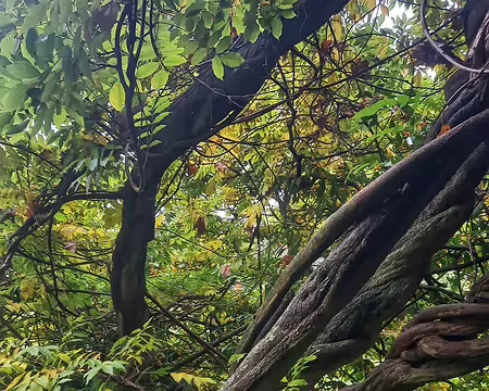 20251116_124618-01 Glycine