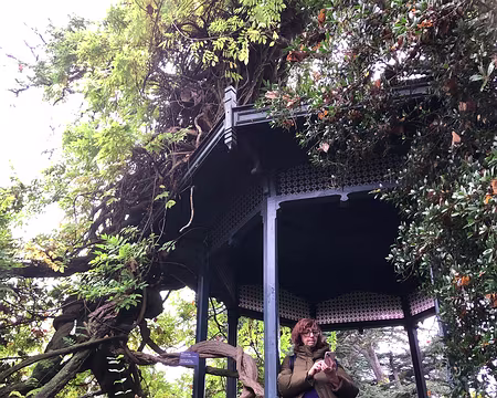 20251116_124620-01 Photo Marina Fulchiron.