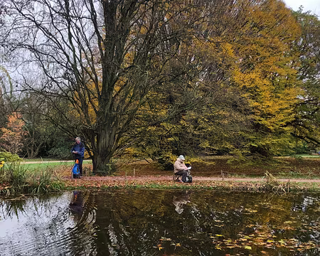 20251116_130206-02-01 L'embarras du choix pour notre premier dessin. Photo Marina Fulchiron.