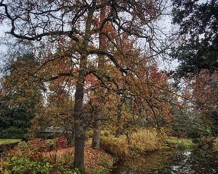 20251116_135618-01-01