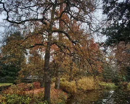 20251116_135618-01-01