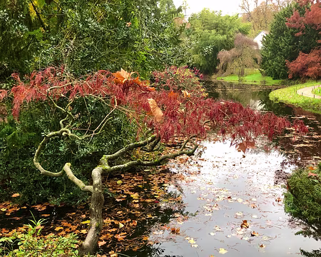 20251116_135620-01-01 Photo Marina Fulchiron.