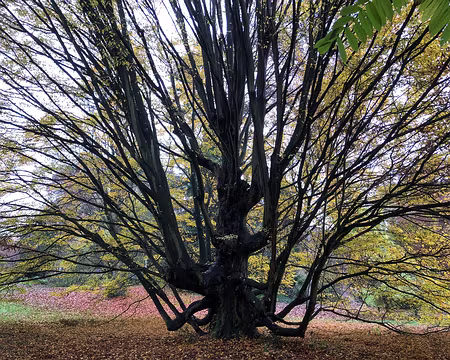 20251116_135622-01-01 Photo Marina Fulchiron