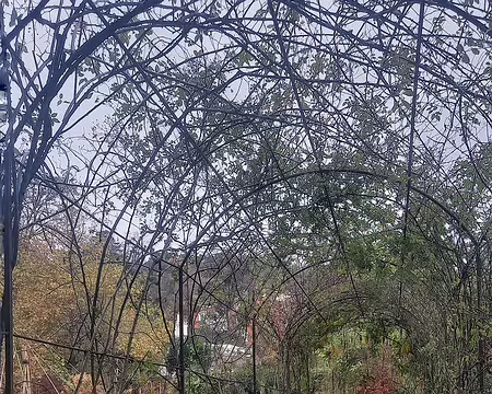 20251116_151407-01 L'Île Verte à Châtenay-Malabry.