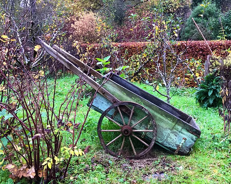 20251116_151443-01 Un joli motif de dessin. Photo Marina Fulchiron.