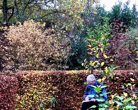 20251116_151446-01 Photo Marina Fulchiron.