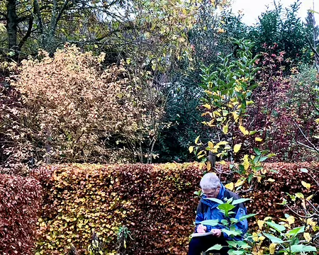 20251116_151446-01 Photo Marina Fulchiron.