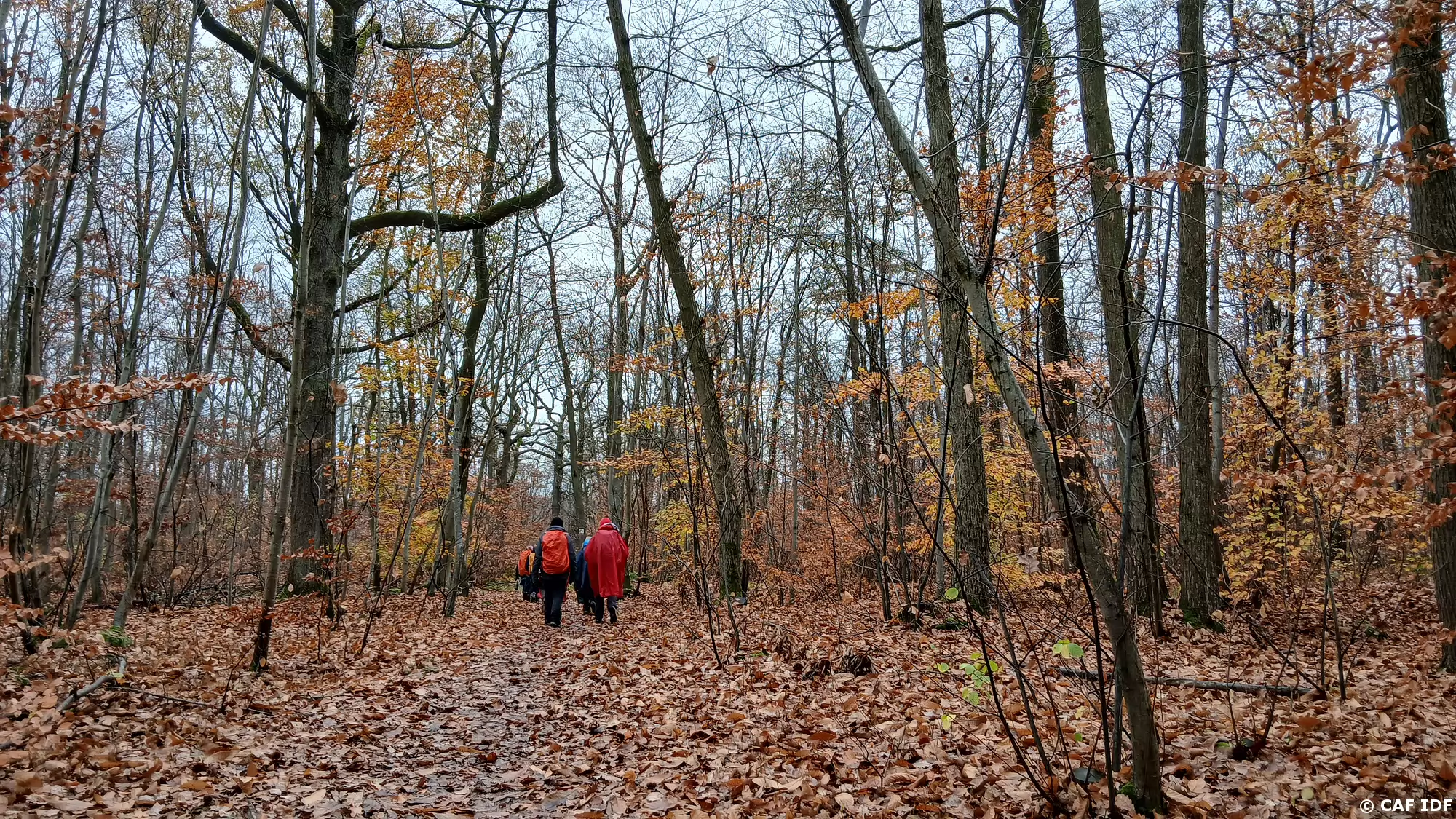 003 Ambiance automnale