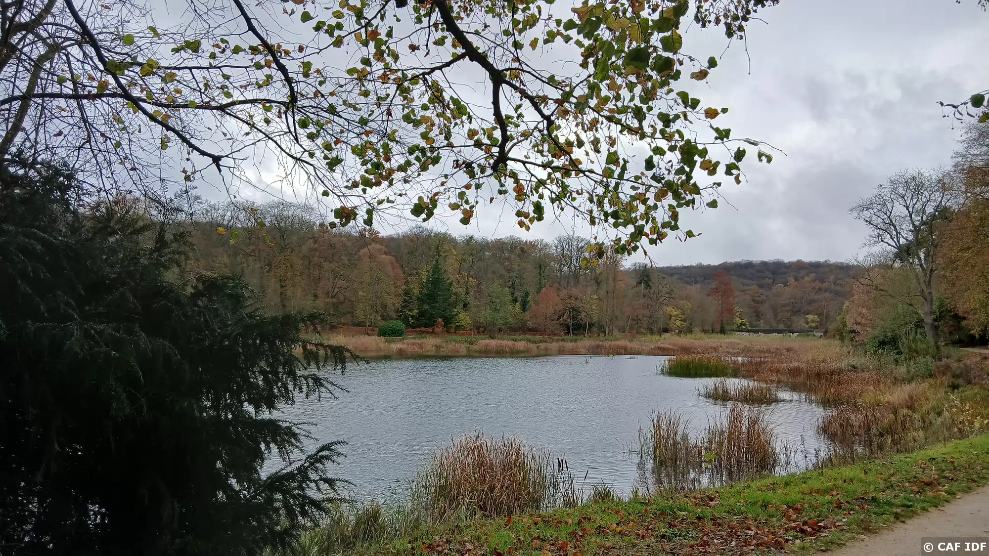 007 Au cœur de la forêt de Fausses Reposes, les étangs de Ville-d’Avray (ou étangs de Corot). Ici l’Etang Neuf aménagé en 1690 pour Monsieur, Philippe d’Orléans, frère du roi Louis XIV, pour alimenter les bassins et jeux d’eau du domaine de Saint-Cloud