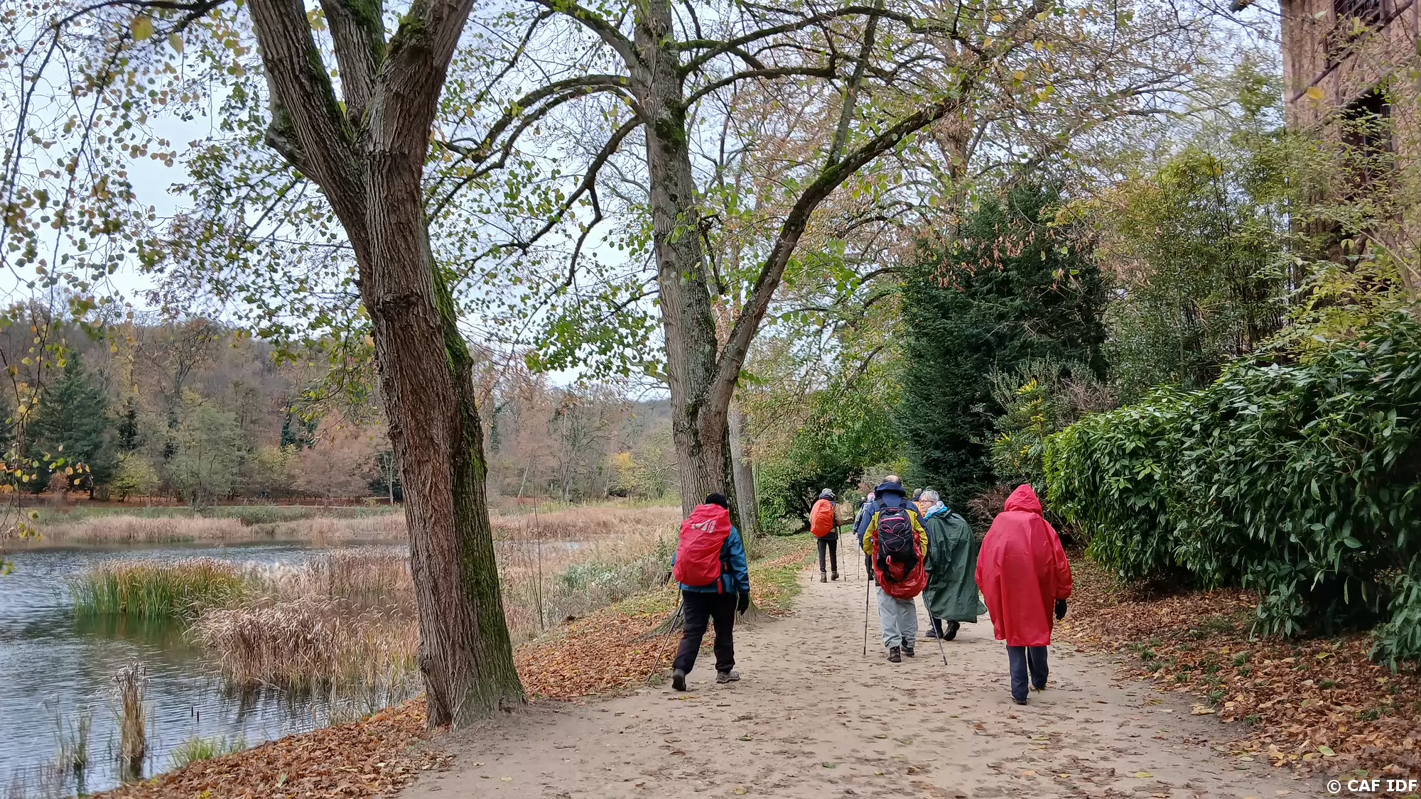 009 Chemin au bord de l’Etang Neuf (rive nord)