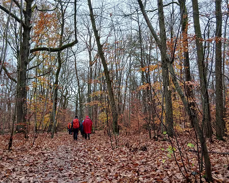 003 Ambiance automnale