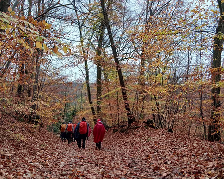 005 Les derniers feux de l’automne