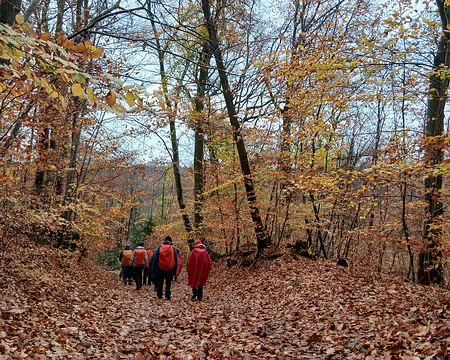 005 Les derniers feux de l’automne