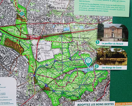 006 La forêt domaniale de Fausses Reposes, au sud de Vaucresson, est une ancienne forêt royale