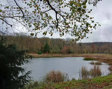 007 Au cœur de la forêt de Fausses Reposes, les étangs de Ville-d’Avray (ou étangs de Corot). Ici l’Etang Neuf aménagé en 1690 pour Monsieur, Philippe d’Orléans,...