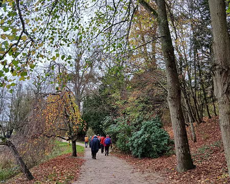 012 Chemin longeant la rive sud de l’Etang Neuf