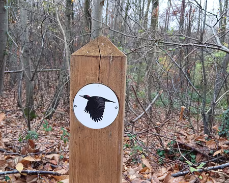 015 Le parcours pédagogique du Pic noir relie les étangs de Corot (au nord) à Chaville (au sud)