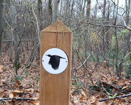 015 Le parcours pédagogique du Pic noir relie les étangs de Corot (au nord) à Chaville (au sud)