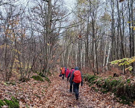 020 Arrivée dans la forêt domaniale de Meudon après la traversée de Chaville